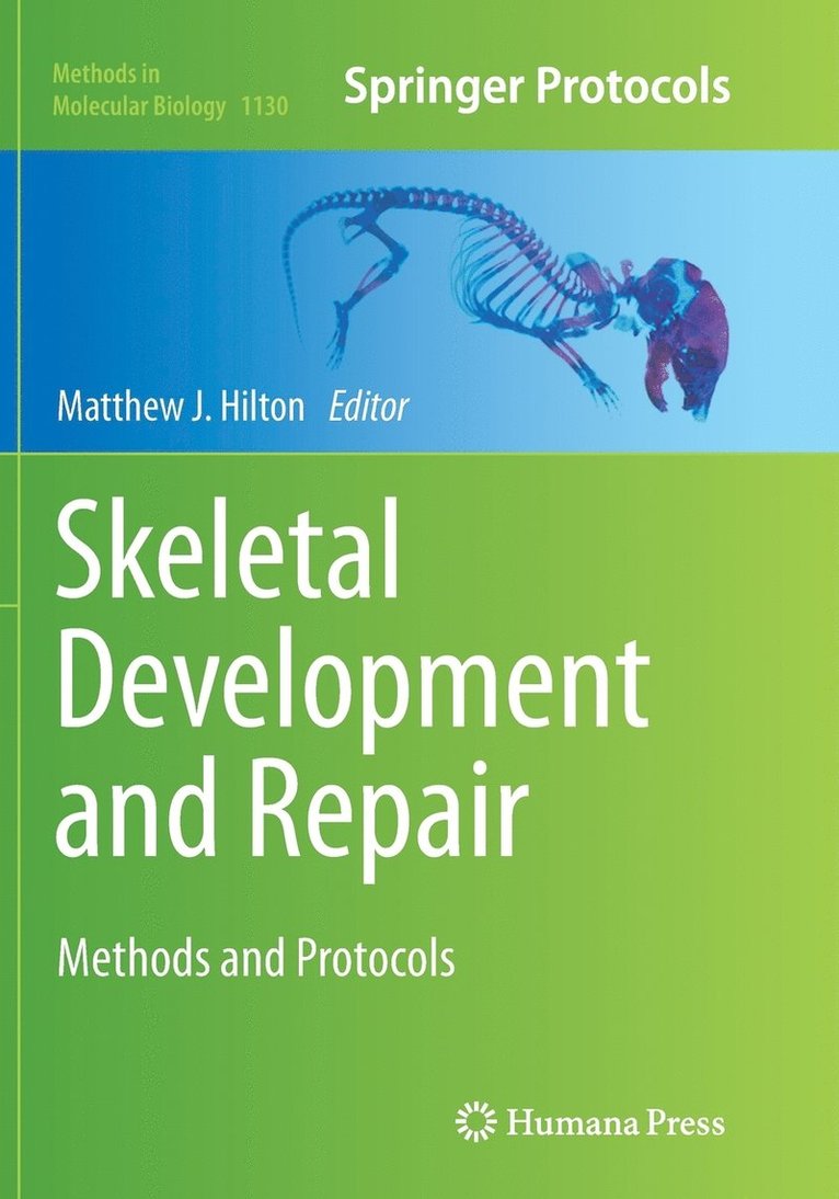 Skeletal Development and Repair 1