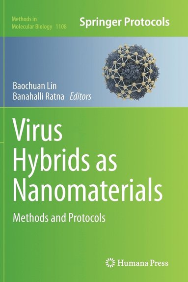 bokomslag Virus Hybrids as Nanomaterials