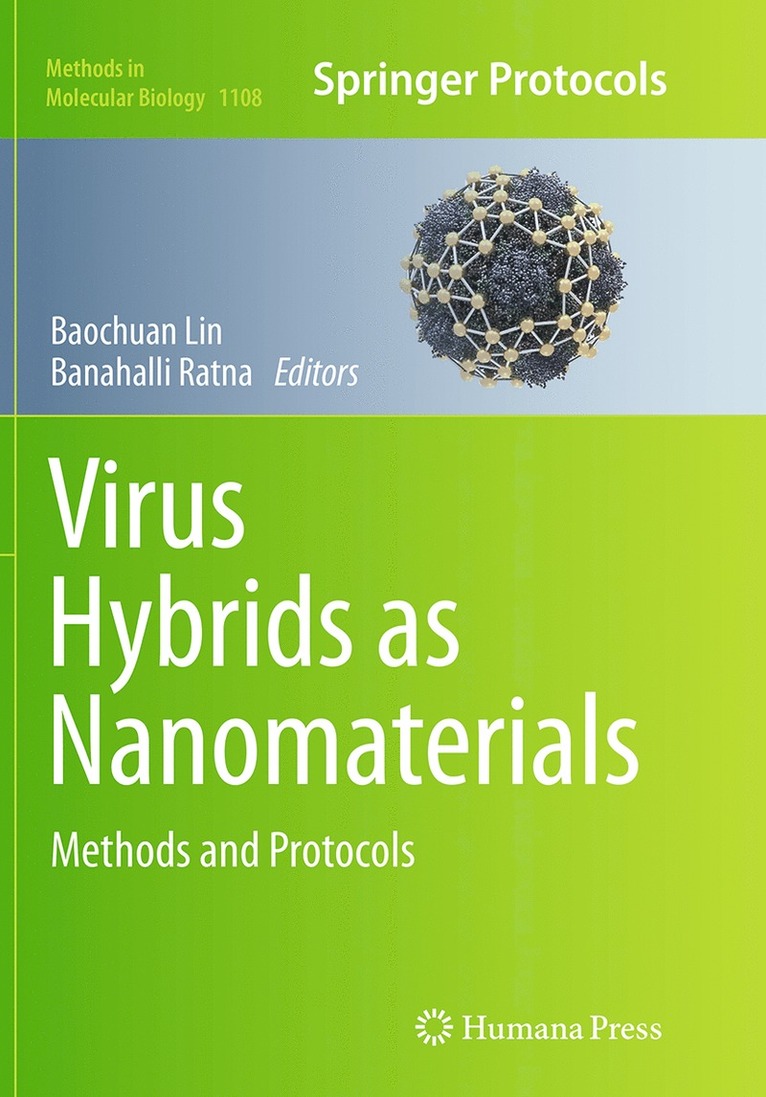 Baochuan Lin, Banahalli Ratna - Virus Hybrids as Nanomaterials, Häftad