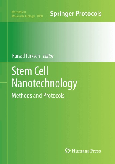 Kursad Turksen - Stem Cell Nanotechnology, Häftad