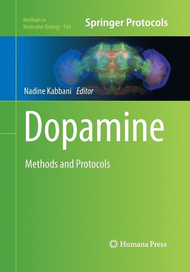 bokomslag Dopamine