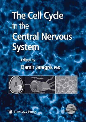 bokomslag The Cell Cycle in the Central Nervous System