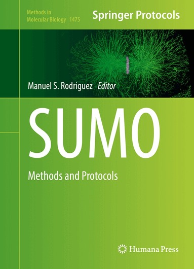 Manuel S. Rodriguez - SUMO, Inbunden