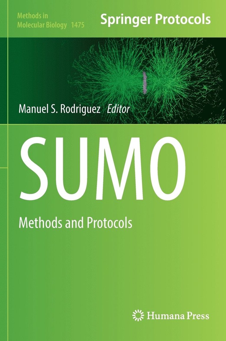 SUMO 1