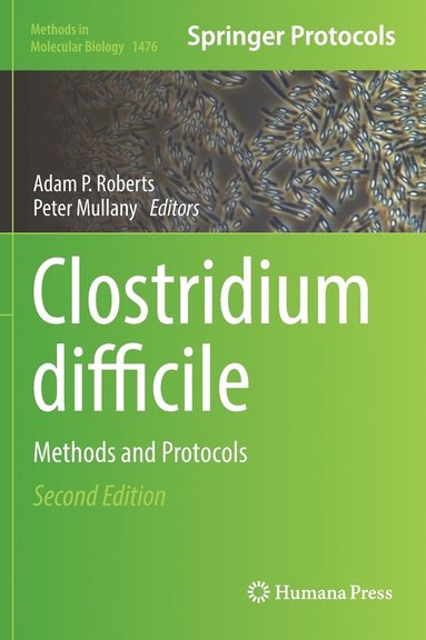 bokomslag Clostridium difficile