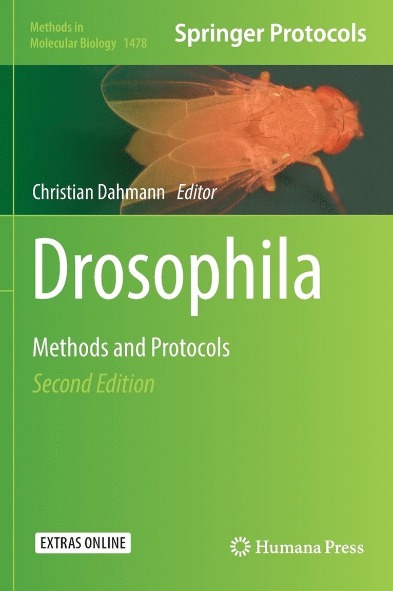 Drosophila 1