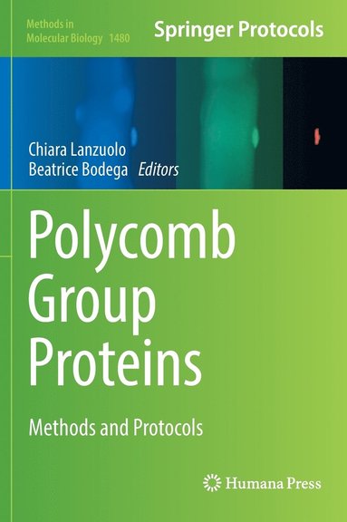 bokomslag Polycomb Group Proteins