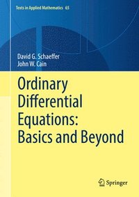 bokomslag Ordinary Differential Equations: Basics and Beyond