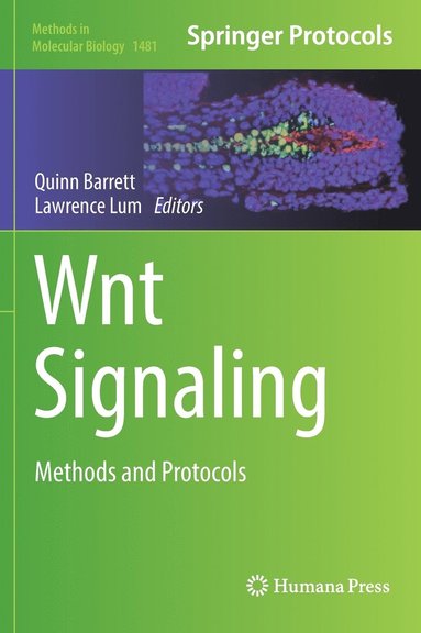 bokomslag Wnt Signaling