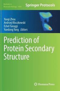bokomslag Prediction of Protein Secondary Structure