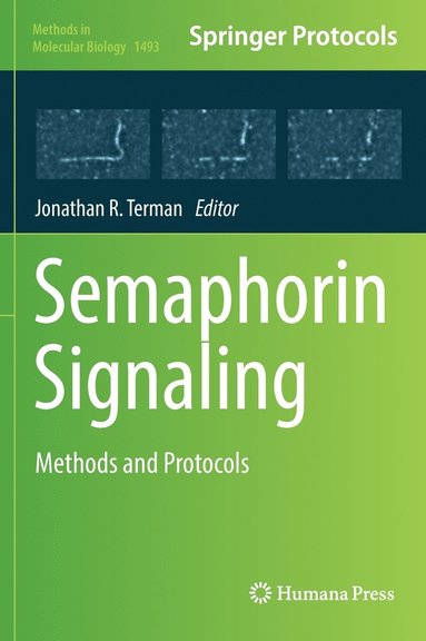 bokomslag Semaphorin Signaling