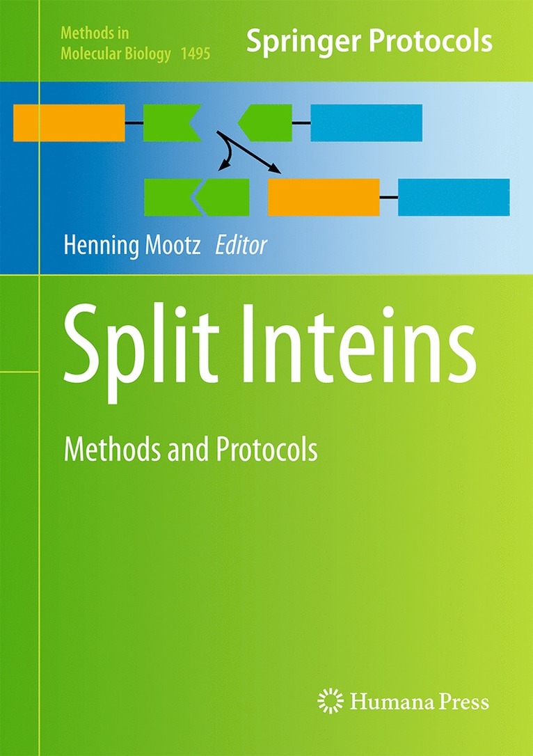 Split Inteins