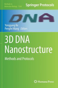 bokomslag 3D DNA Nanostructure