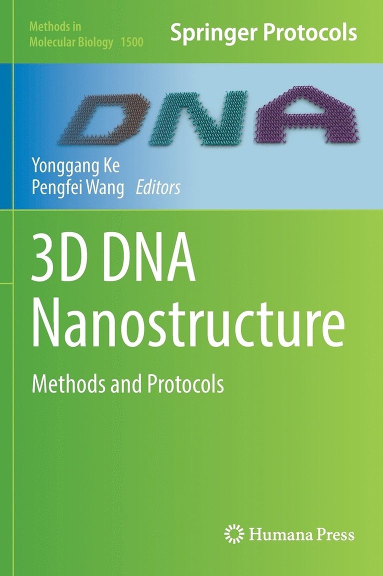 3D DNA Nanostructure 1