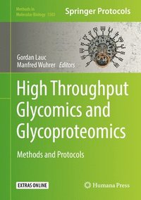 bokomslag High-Throughput Glycomics and Glycoproteomics