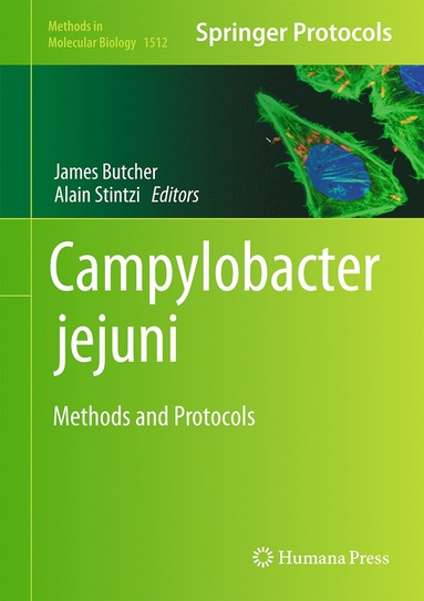 bokomslag Campylobacter jejuni