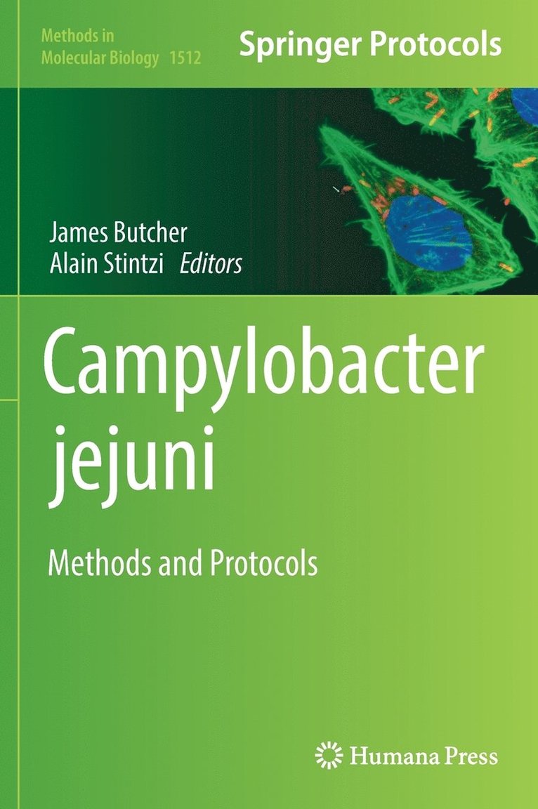 Campylobacter jejuni 1