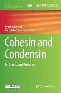 bokomslag Cohesin and Condensin