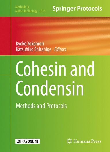 bokomslag Cohesin and Condensin