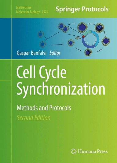 bokomslag Cell Cycle Synchronization