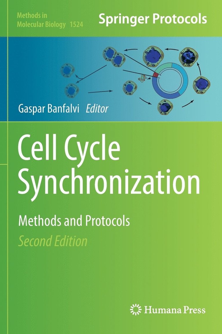 Cell Cycle Synchronization 1