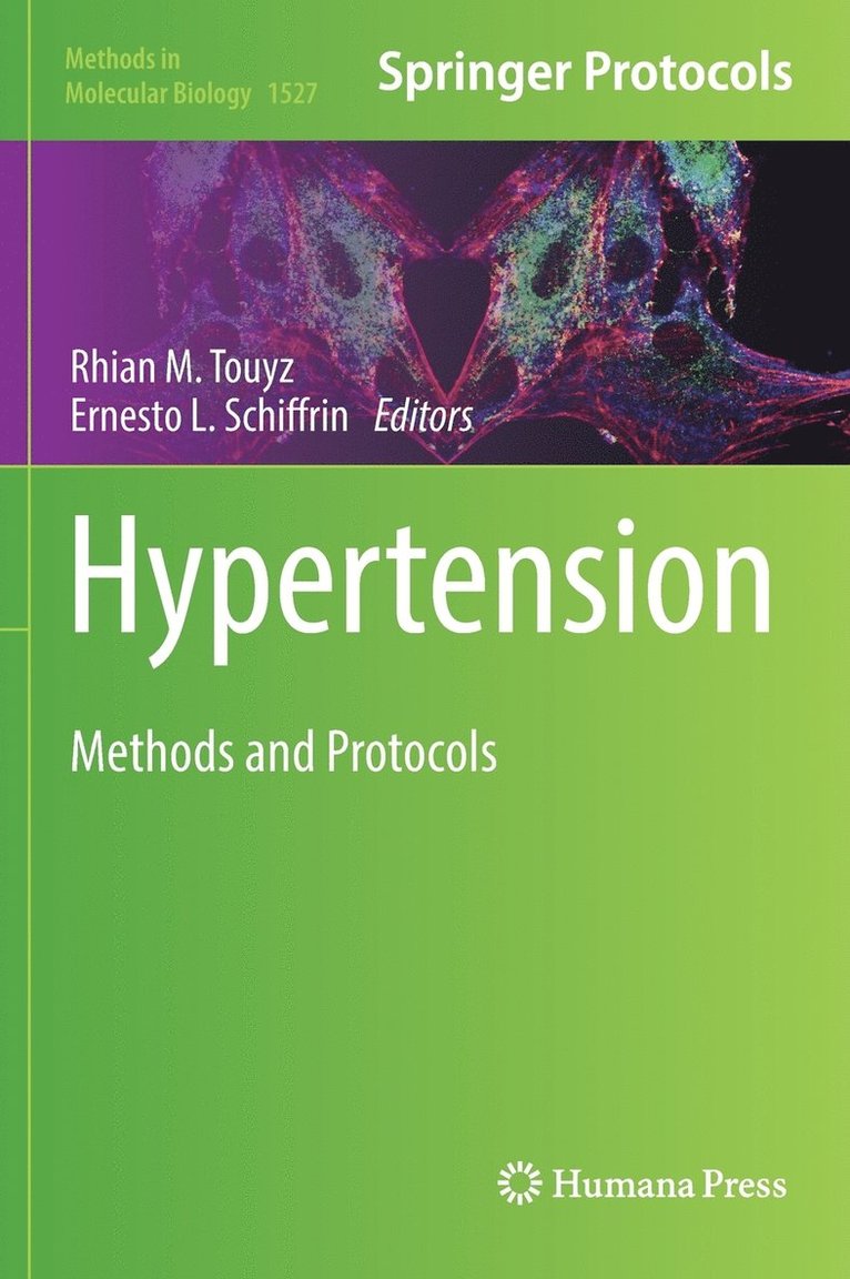 Rhian M. Touyz, Ernesto L. Schiffrin - Hypertension, Inbunden