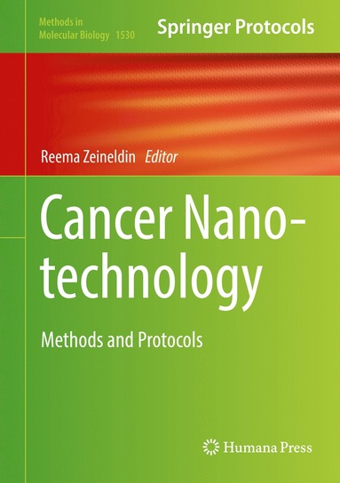 bokomslag Cancer Nanotechnology