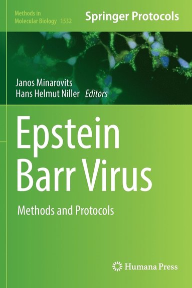 bokomslag Epstein Barr Virus