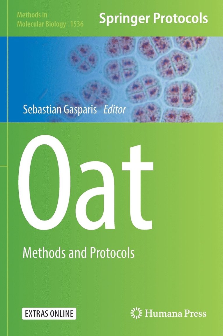 Oat 1