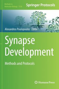 bokomslag Synapse Development