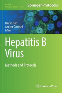 bokomslag Hepatitis B Virus