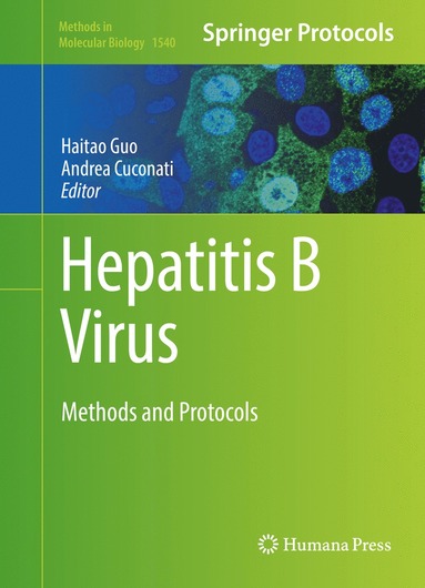 bokomslag Hepatitis B Virus