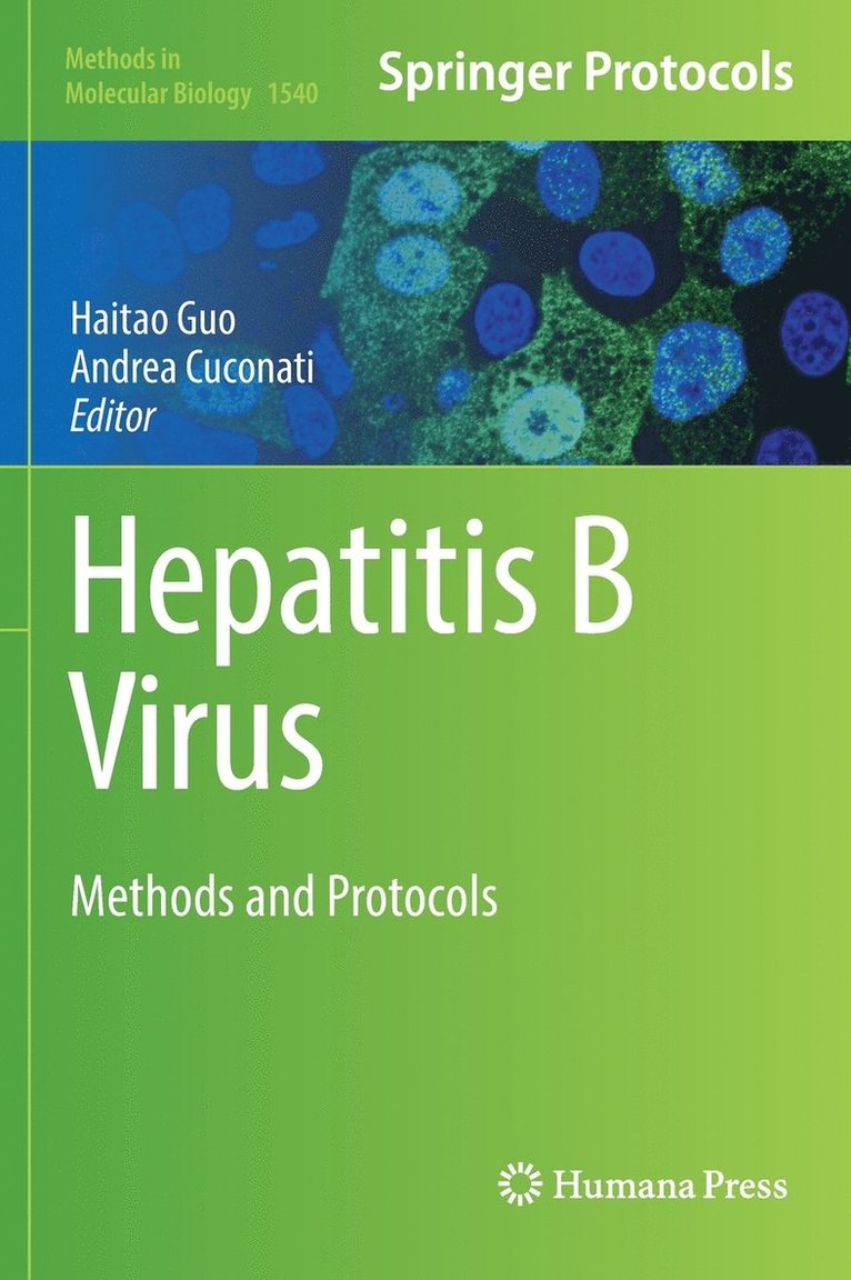 Hepatitis B Virus 1