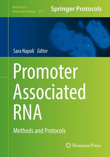 Sara Napoli - Promoter Associated RNA, Inbunden