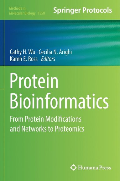 bokomslag Protein Bioinformatics