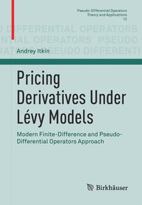 bokomslag Pricing Derivatives Under Lvy Models
