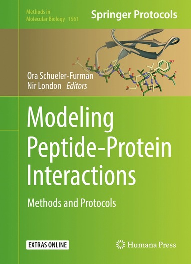 bokomslag Modeling Peptide-Protein Interactions