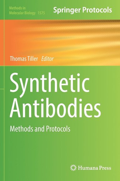 bokomslag Synthetic Antibodies