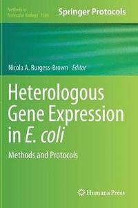 bokomslag Heterologous Gene Expression in E.coli