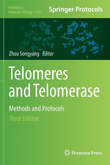 bokomslag Telomeres and Telomerase