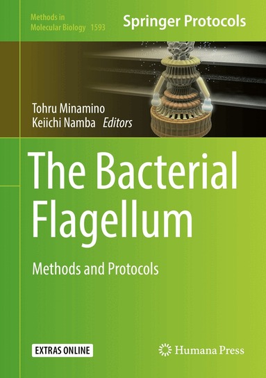 Tohru Minamino, Keiichi Namba - Bacterial Flagellum, Inbunden