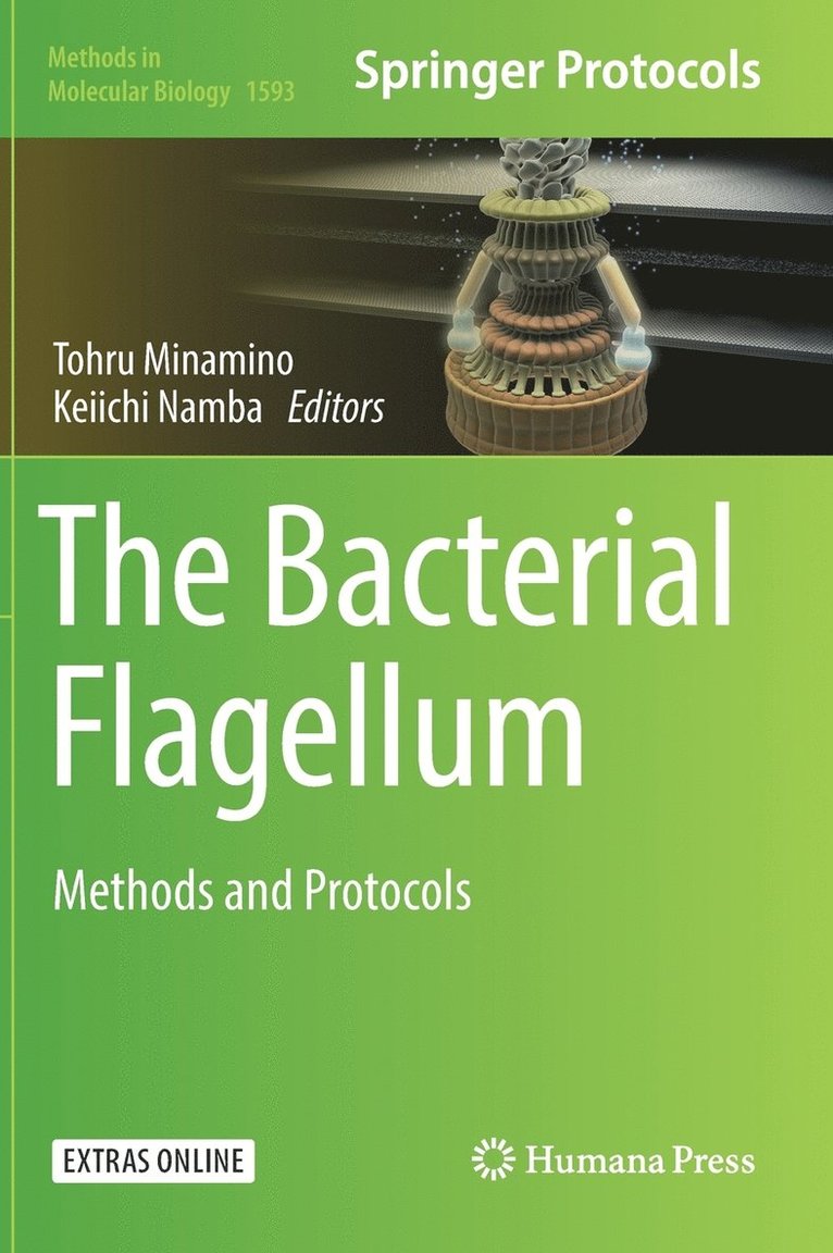 The Bacterial Flagellum 1