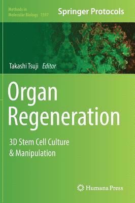 bokomslag Organ Regeneration