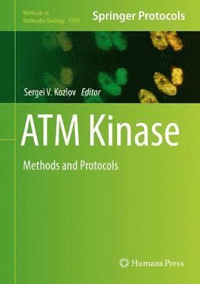 ATM Kinase 1