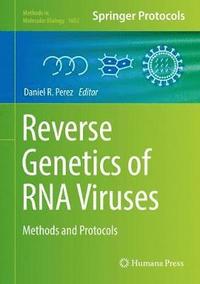 bokomslag Reverse Genetics of RNA Viruses
