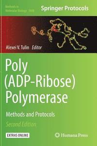 bokomslag Poly(ADP-Ribose) Polymerase