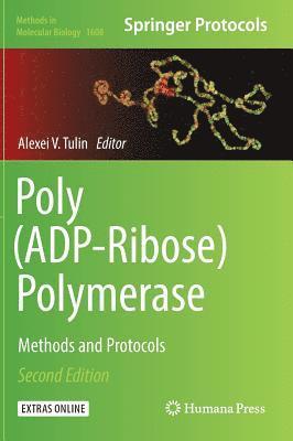 Poly(ADP-Ribose) Polymerase 1