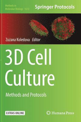 3D Cell Culture 1