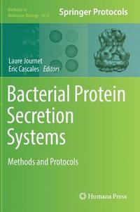 bokomslag Bacterial Protein Secretion Systems