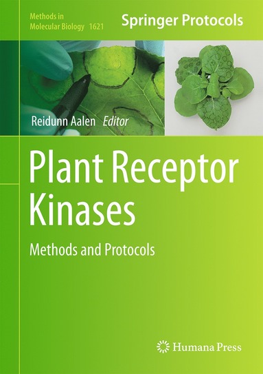 bokomslag Plant Receptor Kinases